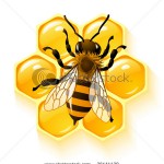 stock-vector-vector-bee-and-honeycombs-36141139